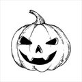 Vector Black And White Drawing In Vintage Style. Pumpkin For Halloween. Isolated On White Background Pumpkin. Element Of Halloween